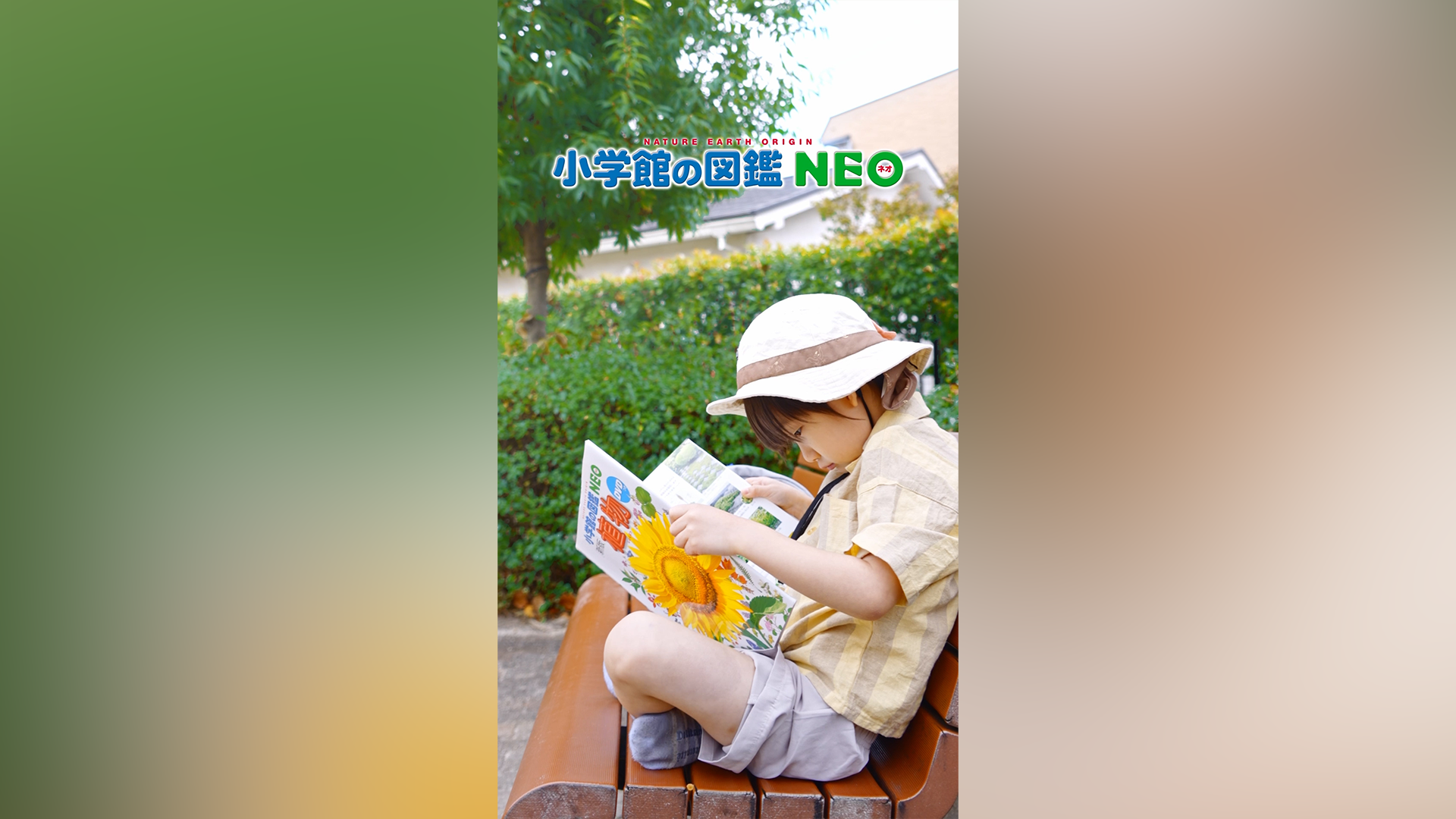 宣伝会議 BOVA審査員賞受賞作品「ハートウォッチング」